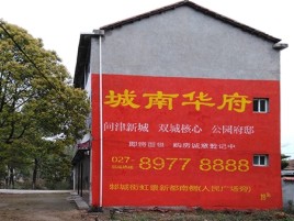 紫云百分之90的人都不了解的农村墙体广告