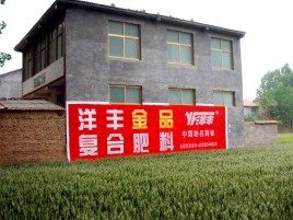 紫云如何让墙体广告展现最大化效果