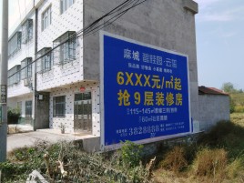紫云墙体广告质量分析