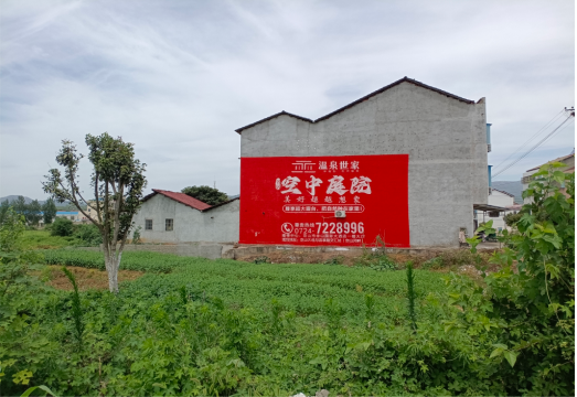 紫云做墙体广告的意义