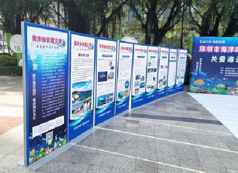 紫云KT板的种类和知识。